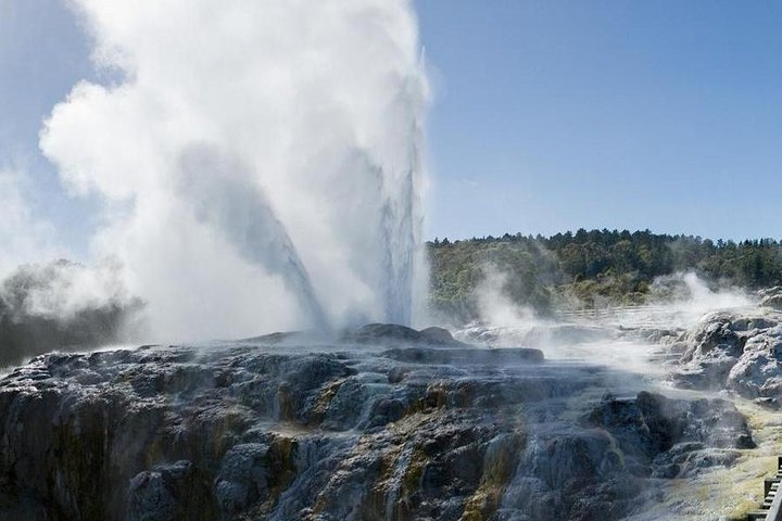 Pohutu Geyser